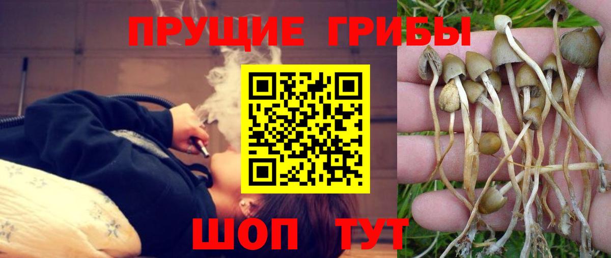 Псилоцибиновые грибы ЛСД  Псилоцибиновые грибы Magic Shrooms  купить наркотик  Вход с VPN  Кандалакша 