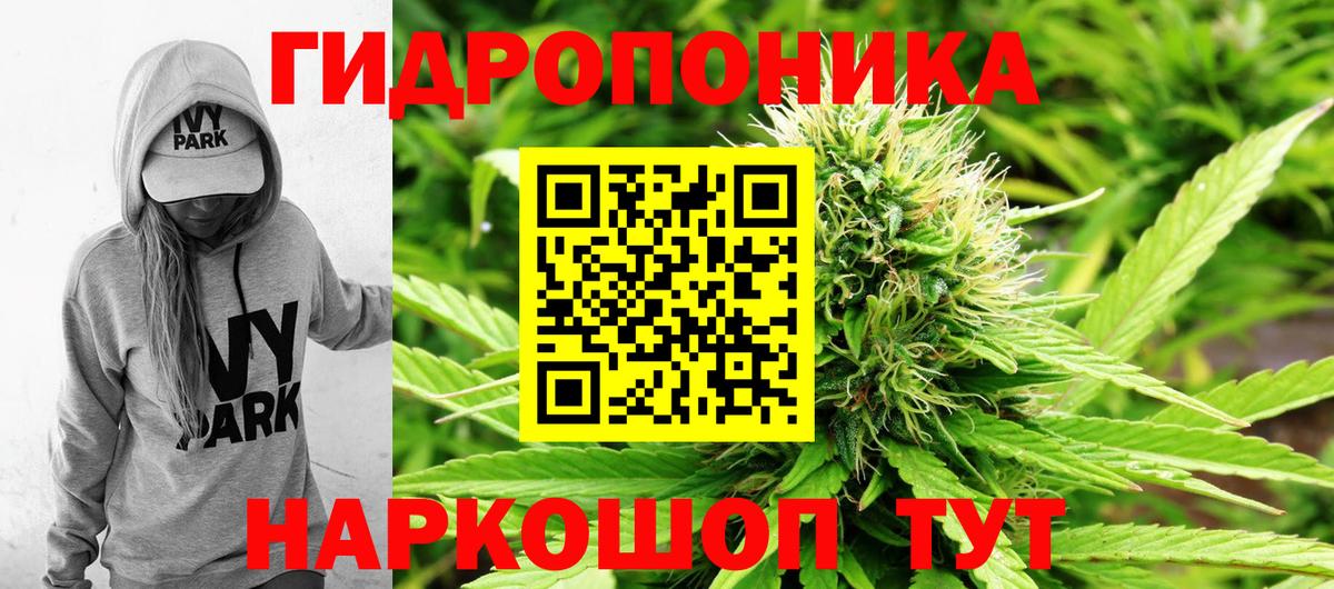 МАРИХУАНА конопля Кандалакша